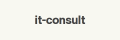 it-consult